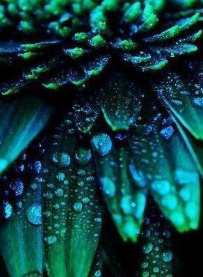 Ещё жива и Слава Богу! Ещё иду ... своей дорогой... Ещё надеюсь... и люблю... Спасибо Богу говорю – ... - 3