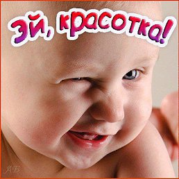 � � � � � ����, ����� �������, 45 ���