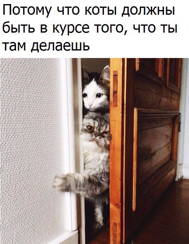       - 24  2016  16:01