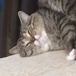 John, �����-���������