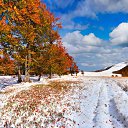 ���� Irina, ����������� - ��������� 23 ������ 2016 � ������ �������� ����