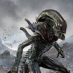 ������, ������