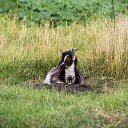 ���� ��������, ���������, 48 ��� - ��������� 24 ������� 2016 � ������ ���� ����������