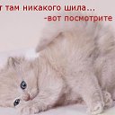 ���� ��������� �������, ������ - ��������� 8 ����� 2017 � ������ ������ ��������
