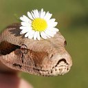 ���� ������, ������� - ��������� 28 ������� 2016 � ������ ���� ����������