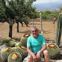 ����, ������