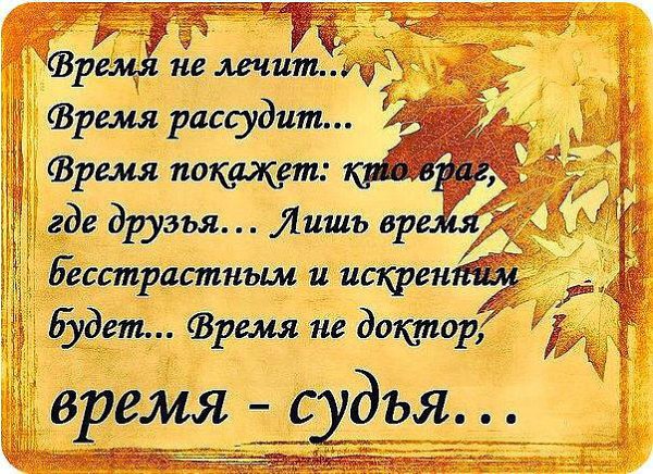   - 5  2017  11:51