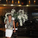 ���� ��������, ����� - ��������� 22 �������� 2016 � ������ ���� ����������