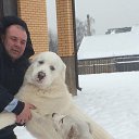 ���� �������, ������, 53 ���� - ��������� 7 ������� 2017 � ������ ���� ����������