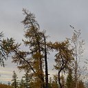 ���� �����, ����� ������� - ��������� 9 ������ 2016 � ������ �����-������߻