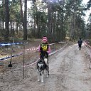 ���� Bear, �������, 48 ��� - ��������� 7 ������� 2016 � ������ ���������� ���� 2016�