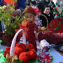  ,  -  14  2016       ̻