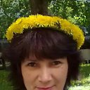 ���� ��������, ������� - ��������� 28 ������� 2017 � ������ ���� ����������