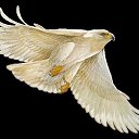 ���� ���������, ������� �������� - ��������� 29 ������� 2016 � ������ ���� ����������