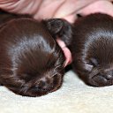 ���� ������, ��������, 66 ��� - ��������� 2 ����� 2017 � ������ ������ ��������