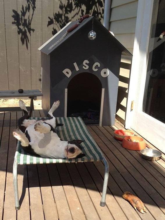 Когда жизнь удалась