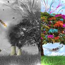 ���� ���� ��������, ������, 61 ��� - ��������� 15 ������� 2016 � ������ ������ ��������