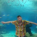 ���� �����, ����, 42 ���� - ��������� 25 ������� 2016 � ������ ���� ����������