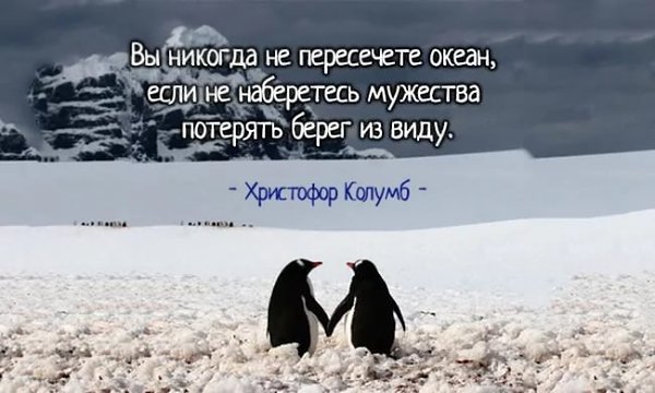 ������� ���� ������������� ����. ����� �� ���� ��������, ������� ����������� ������� � ������, ... - 14