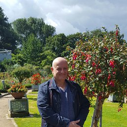 �������, �������, 61 ���