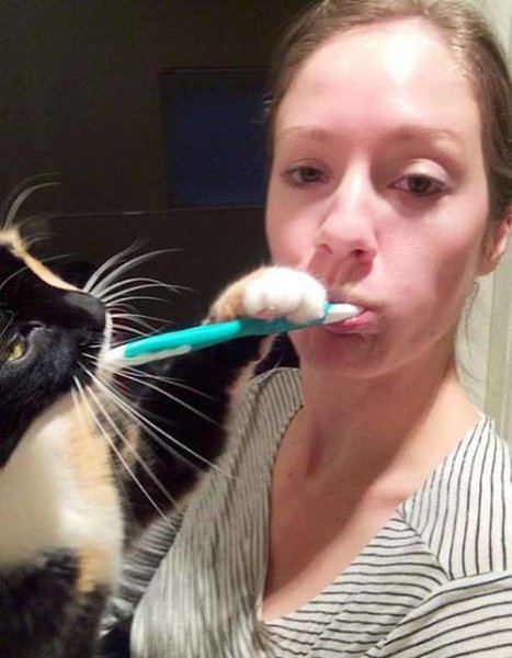 �����, ������� ��������� �� ���� ������ ������������ =^.^= - 2