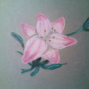 ���� ������, ������������, 53 ���� - ��������� 19 ������ 2016 � ������ ���� ����������