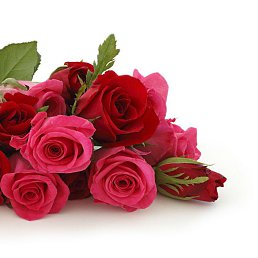 ���� �������, �������, 47 ��� - ��������� 24 �������� 2016