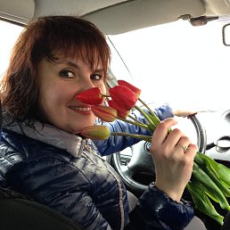 ���������, ���������, 49 ���