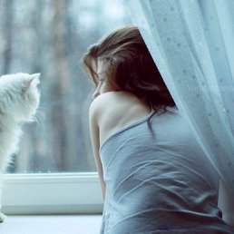 ���� �������, ���� - ��������� 6 ������ 2017