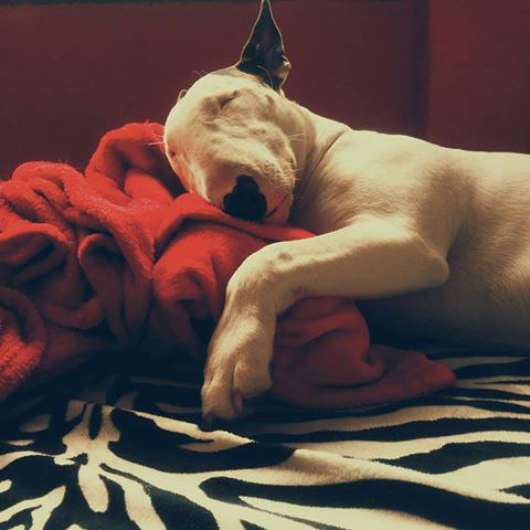 Всем сладких выходных