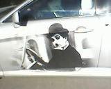 ���� �������, ������, 52 ���� - ��������� 16 ������� 2016 � ������ ���� ����������