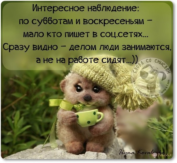 ��� ���� - 28 ������ 2017 � 23:05