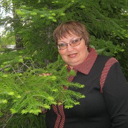 ������, �����, 62 ����