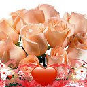 ���� �������, �������� - ��������� 6 ����� 2017 � ������ ���� ����������