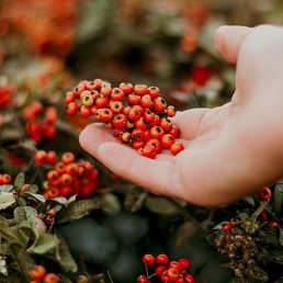 ������, �������, 22 ����