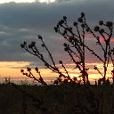 ���� Lyubov, ������ - ��������� 29 �������� 2016 � ������ �������������