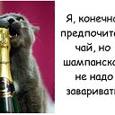 ���� ����������, ���������� - ��������� 5 ������ 2017 � ������ ������ ��������