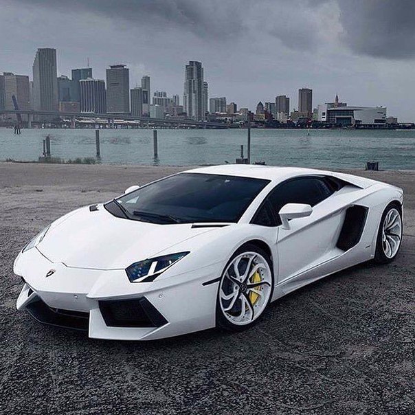���� ������ ����� - 10 ������ 2016 � 15:13