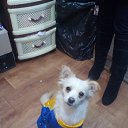 ���� �����, ����, 45 ��� - ��������� 25 ������� 2016 � ������ ���� ����������