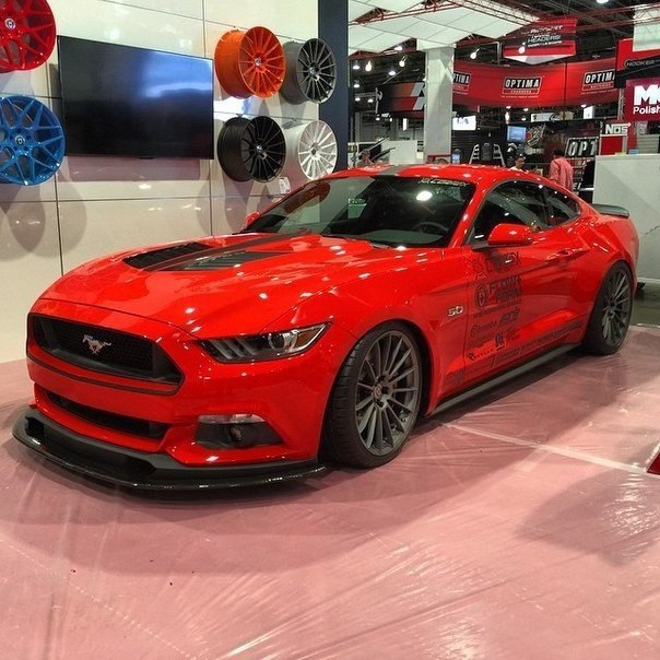 Mustang' 2015   . - 8