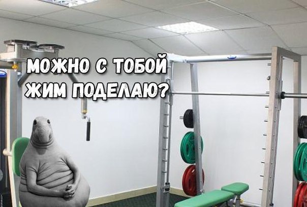 �� ������� �� �����! - 11 ������� 2017 � 08:29
