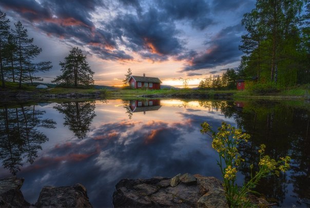      . Ole Henrik Skjelstad - 5