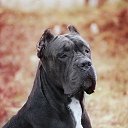 ����� �� ������� ������ � �����