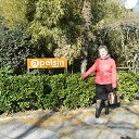  , , 73  -  26  2017     Ի