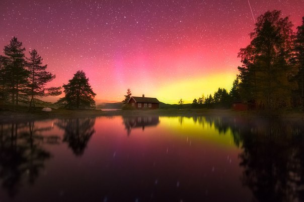      . Ole Henrik Skjelstad - 2