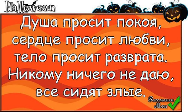 - 3  2016  13:31
