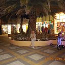 ���� ������, ������������ - ��������� 21 �������� 2016 � ������ �׸���� ����,�������� 2016 �.�