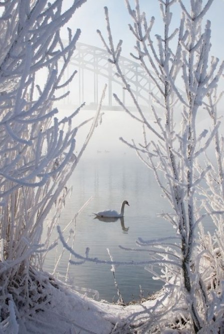   - 15  2016  09:46 - 4