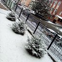 ���� �������, ������������, 49 ��� - ��������� 17 ������� 2016 � ������ ���� ����������