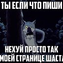 ���� �����, ������������, 55 ��� - ��������� 29 ����� 2017 � ������ ������ ��������